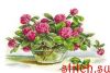 42459.thumb.jpg.d6cac65ab1177ebbfff4afec7d5dd0de.jpg