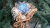 5.thumb.jpg.b8bcc39e4a155d931b7d901cc3150a36.jpg