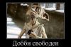 5.thumb.jpg.dccbbc8e498a7a9edbef8189d4038bd4.jpg