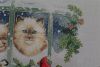 80. Котята и времена года (59) (декабрь 2018).JPG