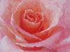 8.thumb.jpg.fb18240ff938cc9a85e79bb65313a30c.jpg
