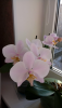 84A7572E-14BB-43B7-AECF-CFF3E1743682.thumb.png.da7aa61260c1ffb8be6157f5c12a526b.png