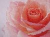 9.thumb.jpg.38bcad7aa29eba6afb569a7eee1ff583.jpg