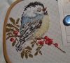 Chickadee3.thumb.JPG.2ca25d8217abacd983d398775d2805f6.JPG