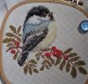 Chickadee4.thumb.JPG.d7acb7952e473c7ec8a9482f02eb1d4d.JPG