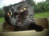 DSC00475.thumb.JPG.9183d3357b3e5f23a53fe747b05ecacb.JPG