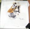 DSC08497.thumb.JPG.be4f7d32f2e84bb537d8410c46021116.JPG