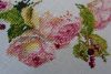 DSCF1383.thumb.JPG.c25d28da7528be369bf5619ebd509015.JPG