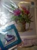 DSC_0137.thumb.JPG.51726c9c3aeb9f0eebdb724f136e2ff9.JPG