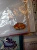 DSC_0138.thumb.JPG.9fdf2b1bde1ea05e5dd30d1e84408e01.JPG