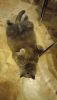 DSC_0516.thumb.JPG.f61ae6f13e09e278adb458dc6c8bf384.JPG