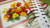 DSC_0821.thumb.JPG.06f29daeee5a8260adc2d0b9fc09d820.JPG