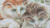 DSC_0842.thumb.JPG.bbbd3d367ee80b50d71154ee147a531b.JPG