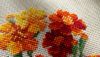 DSC_0878.thumb.JPG.03e7fcb0c2022a6c8bee90f2516d5667.JPG