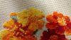 DSC_0883.thumb.JPG.3cffb67f11d4671694a5b103dcd4a65c.JPG