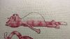 DSC_0897.thumb.JPG.af4c9ccc66337e4a91c74e9a3105eb5b.JPG