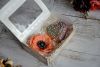 DSC_0994_1.thumb.jpg.090b07d5a7790127c97d8572a10ff599.jpg