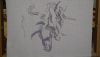 DSC_1166.thumb.JPG.d6a038e5cef733eadf25d91d648a3759.JPG