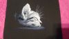DSC_1171.thumb.JPG.b95e0b0e0cf7af9712736a37344c7b3b.JPG