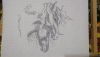 DSC_1172.thumb.JPG.e599515fd6650895cb87bc2e860d6917.JPG