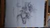 DSC_1174.thumb.JPG.1b3773db3240afda2e623ff1ce0ab8f2.JPG
