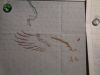 Eagle1.JPG.daaf33b0cf4eca1c8566b3b1c02a3c72.thumb.JPG.7477c36b00e0c5c3289b090345221ad6.JPG