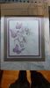 IMG-20190130-WA0016.thumb.jpeg.c516d7922305a6e7462c3ba2243b92f8.jpeg