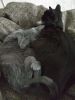 IMG-20190215-WA0004.thumb.jpg.ea2ccf1854a973eefac6708b4ed8e436.jpg