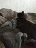 IMG-20190215-WA0005.thumb.jpg.0213fc2cd3bc06343001317e8d7f9e2a.jpg