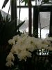 IMG-20190224-WA0002.thumb.jpg.c6d45cb96c74287120f0029634c5f843.jpg