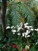 IMG-20190224-WA0003.thumb.jpg.167d30411d2e67b0131e1a1afe2919f8.jpg