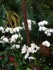 IMG-20190224-WA0004.thumb.jpg.e2b746a40ceb131a55910122906c83c5.jpg