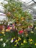 IMG-20190224-WA0007.thumb.jpg.9dd72af70c8bf001c3ca61f966b95279.jpg