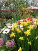 IMG-20190224-WA0013.thumb.jpg.b0899293b9fbc4407696fea6e1ed72ca.jpg