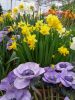 IMG-20190224-WA0016.thumb.jpg.e1cdbcb40184d38edfdb60a2a4de87cb.jpg