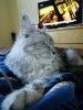 IMG_20180318_123253.thumb.jpg.589856518643a1b8eef21d5573d72ff4.jpg?1549052098841