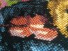 IMG_20190205_054751.thumb.jpg.8025a8b28f7bbc04e63d49a528596636.jpg