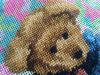 IMG_20190205_054809.thumb.jpg.d330c31be70974b271626e2892886f55.jpg