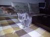 IMG_20190221_092136.thumb.jpg.16d7069fa185e0b00bf1cb36f64abe2a.jpg