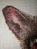 IMG_4011.thumb.JPG.593d3add90d45d9b64ded3b2e0a988f5.JPG