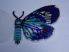 IMG_4342.thumb.JPG.0b65efed5082c89802d5f91c6052fa40.JPG