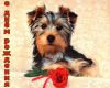 birthdayimage13.thumb.jpg.40f30da3c90cd3e0e15ac00ac761c642.jpg