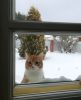 image.thumb.jpeg.15e6dc9894e044468343fa0428c737bd.jpeg