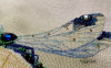 06.thumb.jpg.a614c3305411c360cafe005f85f69f12.jpg