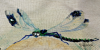 1.thumb.JPG.4fac14306d46d0f72508e51a056c755b.JPG