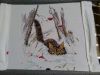1.thumb.jpg.d7cc794be0fe2ac138d0e154602a51e6.jpg