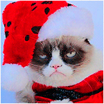 104117.thumb.gif.435901133c94ff3aec813e7359e8deda.gif