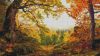 fall forest.jpg