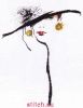 Design Works 2554, Black Hat