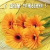 1414093789_.thumb.jpg.1b44a44aa2e16f758474c4ba1c744aea.jpg